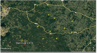 Imóvel 2991952 [''] - ['Faxinal dos Rodrigues ou São Domingos, distrito de São Domingos, município de Inácio Martins'] [''] - ['Inácio Martins']/['PR'] - 1
