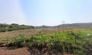 Imóvel 3044353 [''] - ['Assentamento Sávio Dois Vizinhos, s/n - Lote rural 17-Remanscente - Zona Rural - São Miguel do Iguaçu / PR'] [''] - ['São Miguel Do Iguaçu']/['PR'] - 1