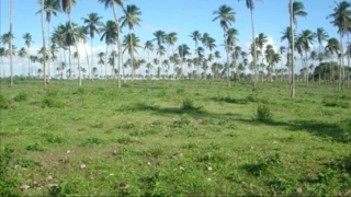 Imóvel 2439253 [''] - ['Av. Doutor Carlos Firpo - De 392 Ao Fim - Lado Par - De 392 Ao Fim Lado, 733 Industrial'] ['Industrial'] - ['Aracaju']/['SE'] - 1