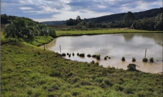 Imóvel 2532953 [''] - ['Localidade de Flor Azul, fundos da Fazenda Santa Bárbara, Anita Garibaldi – S'] [''] - ['Anita Garibaldi']/['SC'] - 1