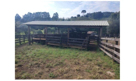 Imóvel rural em Anita Garibaldi, Flor Azul, Localidade de Flor Azul, fundos da Fazenda Santa Bárbara, Anita Garibaldi - S, SC. Área: 120m2