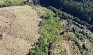 Imóvel 2540553 [''] - ['Lote de Terra no07-A, 08, 09 E 59, GLEBA no16, COLÔNIA MUQUILÃO, Município de PITANGA/PR'] [''] - ['Pitanga']/['PR'] - 1