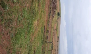 Imóvel 2854153 [''] - ['Estrada Nova, Estrada Soledade a Tunas a 32km - Av.93'] [''] - ['Soledade']/['RS'] - 1