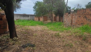 Imóvel 2973653 [''] - ['Rua Ipora, 0, Vila Bandeirantes, Presidente Venceslau, SP'] [''] - ['Presidente Venceslau']/['SP'] - 1