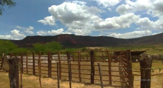 Imóvel 2148953 [''] - ['Sítio Gameleira, Zona Rural do Município de Ipubi'] [''] - ['Ipubi']/['PE'] - 1