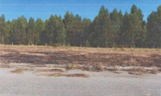 Imóvel 2655553 [''] - ['Rua Ernane Teodoro Costa, - Prolongamento II do Bairro Santo Agostinho Perdigão - MG'] [''] - ['Perdigão']/['MG'] - 1