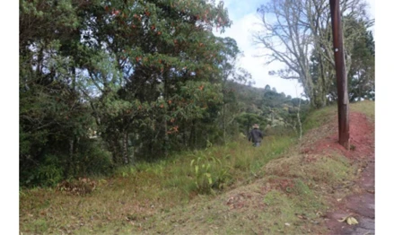 Terreno em Campos do Jordão, Loteamento Floresta Clube, Rua de Acesso Principal, S/N - Lote 47-B - Loteamento Floresta Clube - Campos do Jordão - SP, SP. Área: 1.34m2