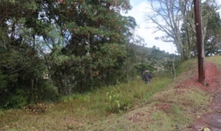 Imóvel 2497553 [''] - ['Rua de Acesso Principal, S/N - Lote 47-B - Loteamento Floresta Clube - Campos do Jordão - SP'] [''] - ['Campos Do Jordão']/['SP'] - 1