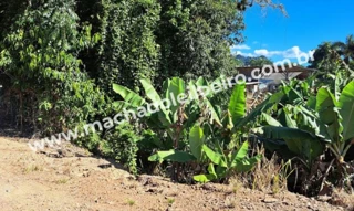 Imóvel 2628053 [''] - ['BR 280, S/N- Próximo posto ISAC'] ['João Tozini'] - ['Corupá']/['SC'] - 1