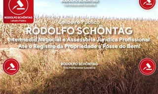 Imóvel 2424253 [''] - [''] [''] - ['Delfinópolis']/['MG'] - 1