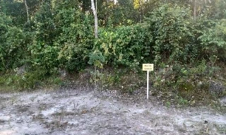 Imóvel 2661153 [''] - ['RUA 75 - LOTE 16 - QUADRA 07, -, JARDIM ANCHIETA'] ['Jardim Anchieta Gleba A'] - ['Itanhaém']/['SP'] - 1