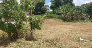 Imóvel 2415253 [''] - ['Avenida Circular Leste, n°676, Lote 3A da Quadra 106'] [''] - ['Mariluz']/['PR'] - 1