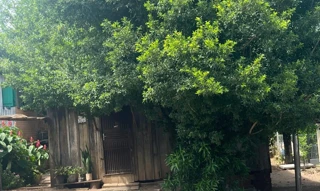 Imóvel 2670453 [''] - [', 308 - Viaduto'] ['Viaduto'] - ['Igrejinha']/['RS'] - 1