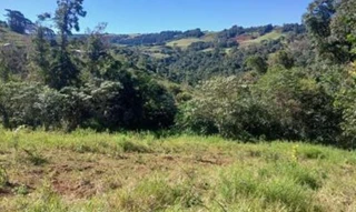 Imóvel 2857153 [''] - ['Parte do Lote Rural n° 70, do Bloco 29, da Colônia Concórdia, Propriedade Rio do Engano, situada em Linha Alegre, Lindoia do Sul'] [''] - ['Lindóia Do Sul']/['SC'] - 1