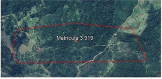 Imóvel 2991953 [''] - ['Faxinal dos Rodrigues ou São Domingos, município de Inácio Martins'] [''] - ['Inácio Martins']/['PR'] - 1
