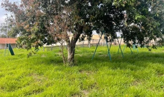 Imóvel 1788854 ['IDR178127'] - ['Avenida Bela Vista, n° 90, Lote 1-A-B, Centro, Bela Vista do Paraíso, PR, 86130-000'] ['Jardim Bela Vista'] - ['Bela Vista Do Paraíso']/['PR'] - 1