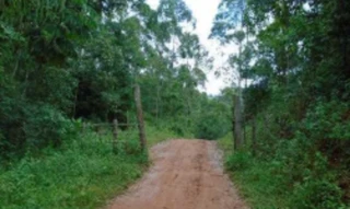 Imóvel 3068954 [''] - ['Estrada Municipal de Bias Fortes para Serra do Ibitipoca, Km. 16,50, s/n - Zona Rural, Várzea Santo Antônio, Bias Fortes/MG'] [''] - ['Bias Fortes']/['MG'] - 1
