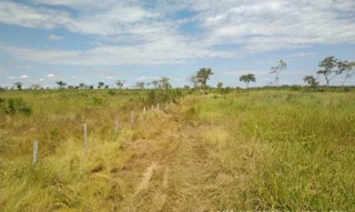 Imóvel 2980954 [''] - ['Rodovia Ms 448, Miranda Lalima, Km 36, s/n - Fazenda Lucero - Parte 2 - Zona Rural - Miranda / MS'] [''] - ['Miranda']/['MS'] - 1