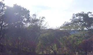 Imóvel 2284854 [''] - ['Passa Quatro, s/n, s/n- Fazenda Tabuão'] [''] - ['Passa Quatro']/['MG'] - 1