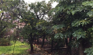 Imóvel 2660254 [''] - ['Rua Rio Branco'] ['Centro'] - ['Santo Augusto']/['RS'] - 1