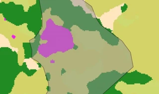 Imóvel 2985154 [''] - ['LOCALIDADE DENOMINADA CÓRREGO DO BAÚ, ZONA RURAL DE ARAPONGA MG'] [''] - ['Araponga']/['MG'] - 1