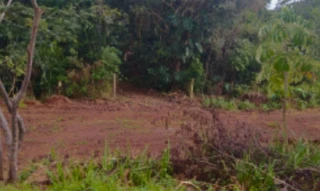 Imóvel 2536454 [''] - ['Lote nº 01-I-8 localizado na Gleba nº 08 da Colônia São João do Sul, perímetro urbano do município de Diamante do Sul'] [''] - ['Diamante Do Sul']/['PR'] - 1