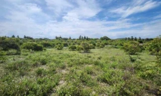 Imóvel 1833054 ['IDR176764'] - ['Estrada Vicinal, Lote K, Loteamento Jardim Recreio Santa Maria, Santa Maria, Aracaju, SE, 49044-000'] ['Terra Dura'] - ['Aracaju']/['SE'] - 1