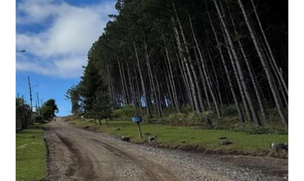Terreno em Rio Negrinho, , Queimados do Rio Preto, SC. Área: 366653m2