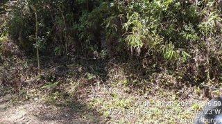 Imóvel 2535054 ['1444422104496'] - ['RUA SIR ALEXANDER FLEMING,N. SN LT 82 GLEBA B, DEBOSSAN - CEP: 28600-000, NOVA FRIBURGO - RIO DE JANEIRO'] ['Debossan'] - ['Nova Friburgo']/['RJ'] - 1