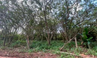 Imóvel 2596654 [''] - ['Nao informado Nao informado'] [''] - ['Castanhal']/['PA'] - 1