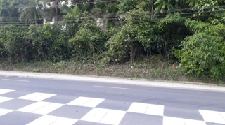 Imóvel 2508854 [''] - ['RUA AUBÉ COM SERVIDÃO FRITZ, S/Nº, BOA VISTA (CENTRO)'] ['Boa Vista'] - ['Joinville']/['SC'] - 1
