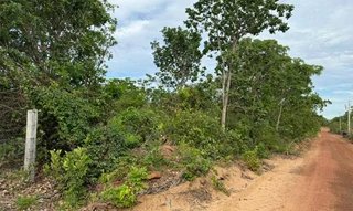 Imóvel 2596554 [''] - ['Nao informado Nao informado'] [''] - ['Nova Xavantina']/['MT'] - 1