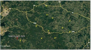 Imóvel 2991954 [''] - ['Faxinal dos Rodrigues ou São Domingos'] [''] - ['Inácio Martins']/['PR'] - 1