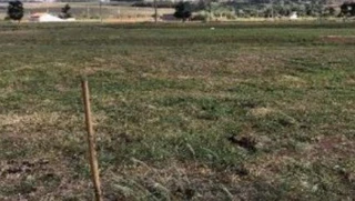 Imóvel 2599054 [''] - ['Avenida Elza dos Santos Pereira, Lt 06 da Qd 13 e Avenida Celeste Santiago, Lt 10 da Qd 11, Jardim Bela Vista, Moreira Sales, PR'] [''] - ['Moreira Sales']/['PR'] - 1