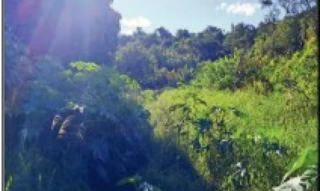 Imóvel 2622755 [''] - ['RUA LAMBARI, 243- CHÁCARA G-2'] ['Jardim Alvorada'] - ['Campo Mourão']/['PR'] - 1