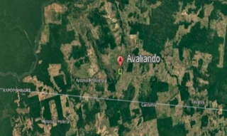 Imóvel 2901455 [''] - ['Fazenda denominada São Pedro V com 247 ha localizada em São Félix do Xingu'] [''] - ['São Félix Do Xingu']/['PA'] - 1