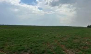 Imóvel 2620055 [''] - ['Fazenda Arapongas I (Parte da Fazenda Bela Vista), Linha Morocó'] ['Bela Vista'] - ['Sorriso']/['MT'] - 1