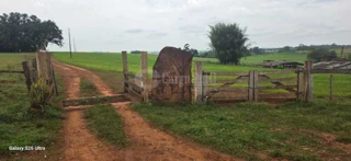 Imóvel 2984555 [''] - ['Rincão de São Pedro'] [''] - ['Santo Antônio Das Missões']/['RS'] - 1