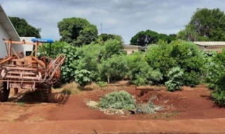 Imóvel 2553455 [''] - ['Rua B'] [''] - ['Jesuítas']/['PR'] - 1