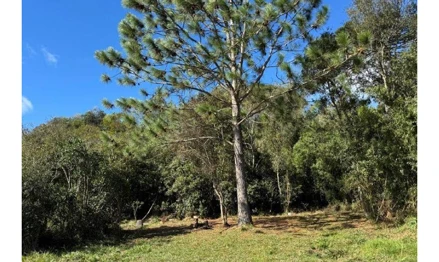 Terreno em Rio Negrinho, , Lagoas do Rio Preto, SC. Área: 88968.4m2