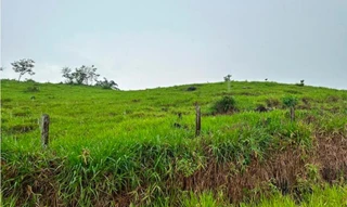 Imóvel 2920255 [''] - ['Lote 65, Gleba Rio Branco, Subgleba 03, Setor Rio Branco IV, Subsetor 95, PF Guajará-Mirim, Denominado Sítio Gease, Parte 01, Linha 126'] [''] - ["Alta Floresta D'Oeste"]/['RO'] - 1