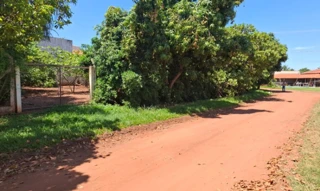 Imóvel 2885655 [''] - ['Rodovia Eliéser Montenegro Magalhães, 57 - Santo Antônio do Aracanguá, SP, Brasil'] [''] - ['Araçatuba']/['SP'] - 1