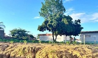 Imóvel 2732855 [''] - ['Rua Raimundo Rodrigues Torres, s/n'] [''] - ['Portalegre']/['RN'] - 1