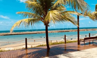 Imóvel 2725755 [''] - ['Estrada do Muro Alto, Bangalô 13 - Muro Alto Ipojuca - PE'] [''] - ['Ipojuca']/['PE'] - 1