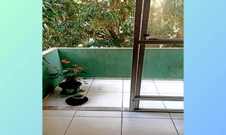 Imóvel 2655456 [''] - ['Rua Prefeito Dib Cherem, 2453, Capoeiras, Florianópolis, SC, 88090-000'] ['Capoeiras'] - ['Florianópolis']/['SC'] - 1