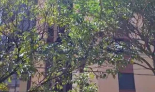 Imóvel 2723156 [''] - ['Rua Maestro Zeferino Santana, 232 - Vila Augusta - Sorocaba - SP'] ['Vila Soares'] - ['Sorocaba']/['SP'] - 1