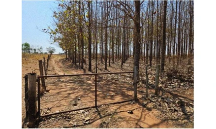 Terreno em São João das Duas Pontes, Rural, Estrada Municipal Pontalinda/São João das Duas Pontes, SP. Área: 14.52m2