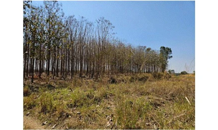 Terreno em São João das Duas Pontes, Rural, Estrada Municipal Pontalinda/São João das Duas Pontes, SP. Área: 14.52m2 - imagem 0