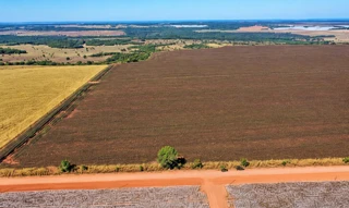 Imóvel 3027056 [''] - ['FAZENDA NOVO HORIZONTE, S/N,'] [''] - ['Novo São Joaquim']/['MT'] - 1