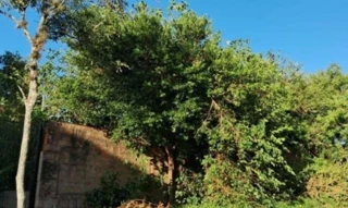 Imóvel 2706756 [''] - ['Rua Doutor Ernesto Miranda, 226 - Jardim São Pedro - Porto Alegre - RS'] ['Jardim Floresta'] - ['Porto Alegre']/['RS'] - 1